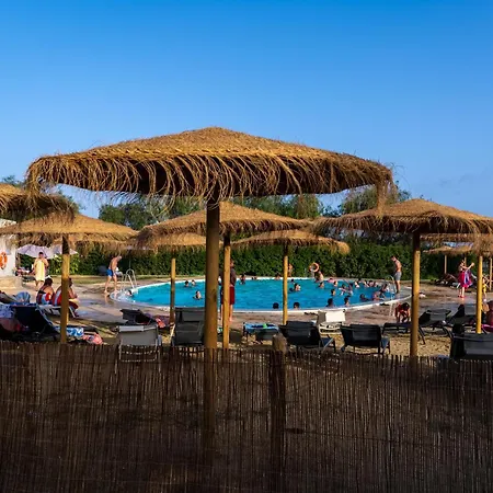 Taiga Almeria Playa
